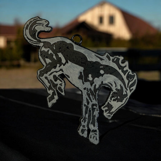 Bronc