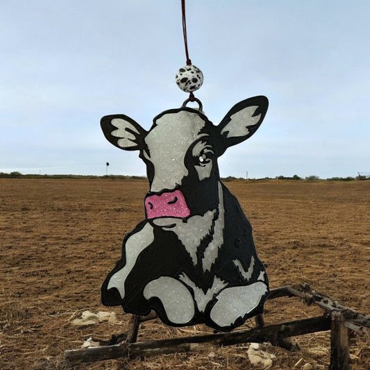 Calf Laying Down